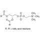 L-a-Phosphatidylcholine, from soybean, b for microbiology,