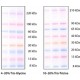 COLORBURST ELECTROPHORESIS MARKER& 
