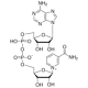 BETA-NICOTINAMIDE ADENINE DINUCLEOTIDE, pkg of 10 mg (per vial),