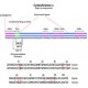 CYTOCHROME C, MASS SPEC STANDARD 