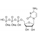 CYTIDINE 5'-TRIPHOSPHATE SODIUM100 MM SO HPLC purified, aqueous solution for RNA polymerase transcription,
