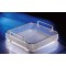 TRAY IMMERSION 480/250/50 SS W/DROP HNDL