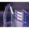 FLASK CC COL I 25CM² CANTED VENTED CAP