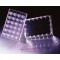 Insert Plate 24W Memb.8µM in Feed TR