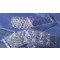 INSERT 75MM TRANSWELL 0,4µM PC MEM TC
