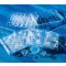 INSERT 24MM TRANSWELL-COL 0,4µM PTFE MEM
