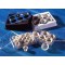 INSERT NETWELL 15MM 74µM PES MEM ST