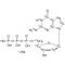 2-DEOXYGUANOSINE-13C10,15N5 5'-TRIPHOSP