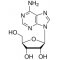 Adenosine