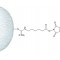 N-HYDROXYSUCCINIMIDE-ACTIVATED*SEPHAROSE