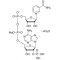 B-NICOTINAMIDE ADENINE DINUCLEOTIDE PHOSPHATE SODIUM SALT HYDRATE POWDER, BIOREAGENT, SUITABLE FOR CELL CULTURE
