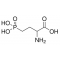 DL-2-AMINO-4-PHOSPHONOBUTYRIC ACID
