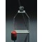 CULTURE FLASKS 150 CM2 CANTED NECKWITH P