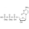 2'-DEOXYCYTIDINE 5'-TRIPHOSPHATE SODIUM 100 MM