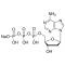 2'-DEOXYADENOSINE 5'-TRIPHOSPHATE*SODIUM