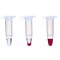 REDACCUTAQ LA DNA POLYMERASE MIX