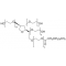 POLYOXYETHYLENESORBITAN MONOLAURATE*MOLE CULAR BIOLO