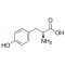 L-Tyrosine