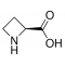 L-AZETIDINE-2-CARBOXYLIC ACID*CRYSTALLIN E