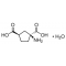 TRANS(+-)-ACPD EXCITATORY AMINO ACID