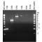 JUMPSTART TAQ DNA POLYMERASE WITHOUTMAGN ESIUM CHLO