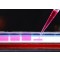 RED TAQ DNA POLYMERASE
