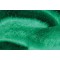 Monoclonal Anti-MAP2 antibody produced in mouse,