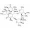 ERYTHROMYCIN