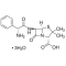 AMPICILLIN