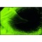 Monoclonal Anti-alpha-Tubulin antibody produced in mouse,