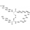 ATRIAL NATRIURETIC PEPTIDE RAT