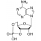 ADENOSINE 3':5'-CYCLIC MONOPHOSPHATEFREE  ACID