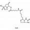 BIOTINAMIDOCAPROIC ACID 3-SULFO-N-HYDROX YSUCCINIMI