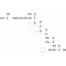 BRADYKININ FRAGMENT 1-5