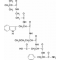 N-T-BOC-B-ALA-TRP-MET-ASP-PHE AMIDE