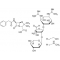 PENICILLIN -STREPTOMYCIN SOLUTION*STABIL IZED