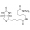 (+)-BIOTINAMIDOHEXANOIC ACID HYDRAZIDE