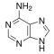 ADENINE