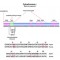 CYTOCHROME C, MASS SPEC STANDARD