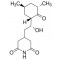 Cycloheximide solution